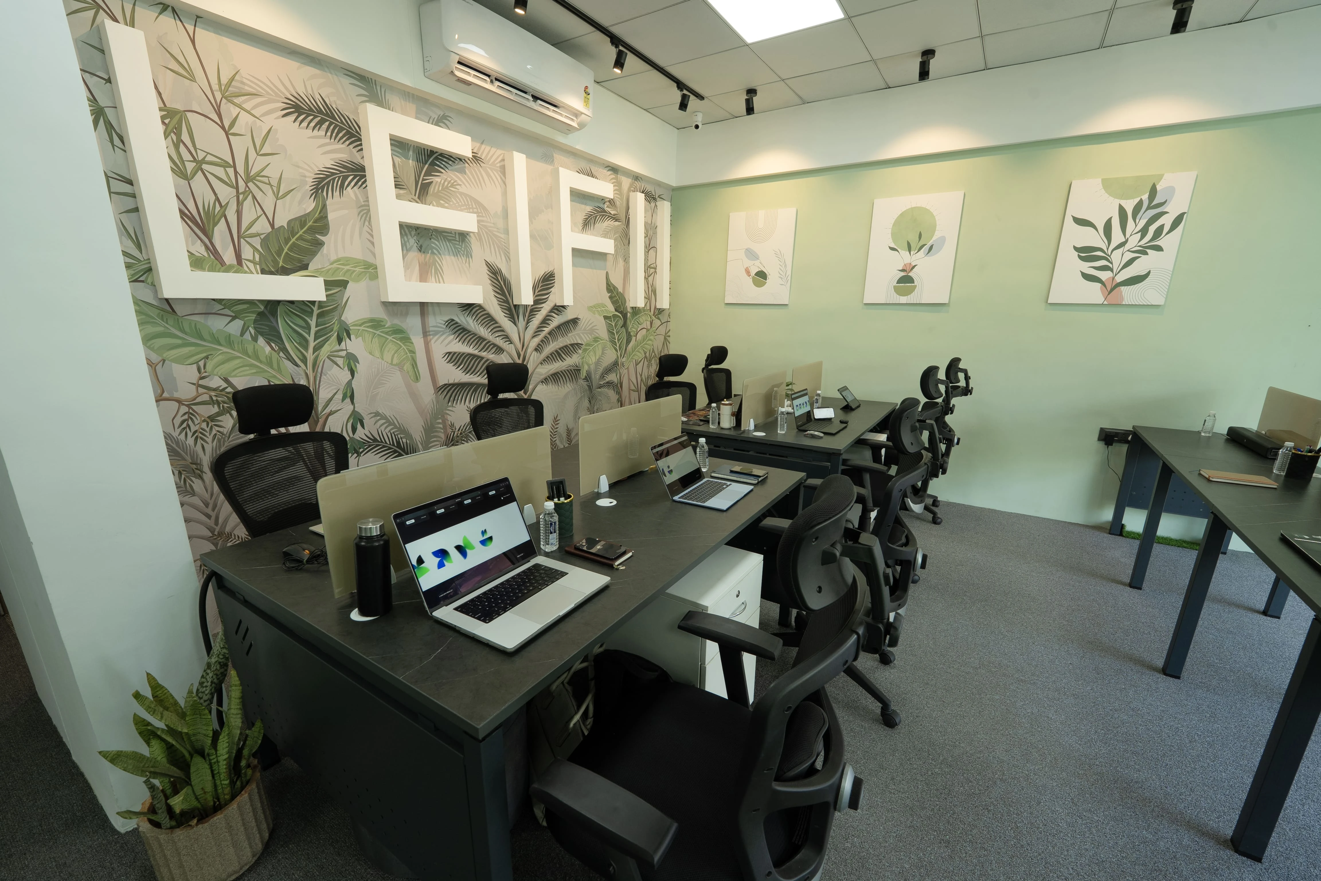 Leifii commercial interior